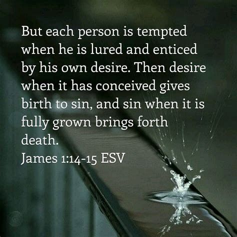 james 1 14 15 meaning.